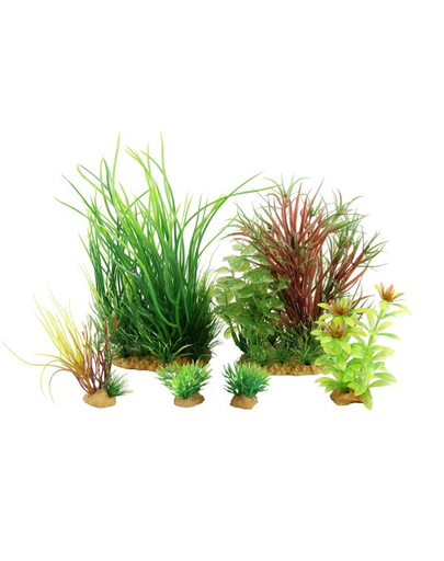 ZOLUX Plantă decorativă Plantkit Jalaya model 4