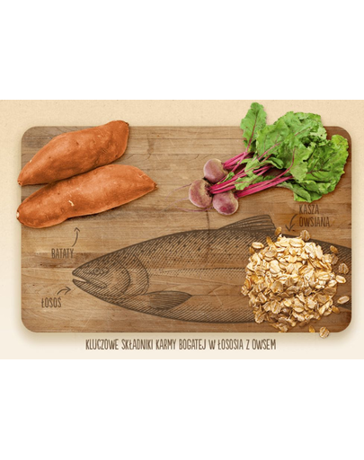 PURINA Beyond Simply 9 Somon 14 kg