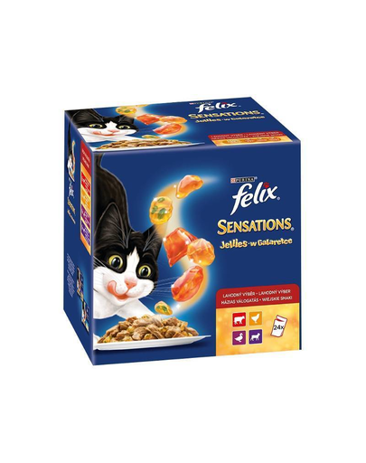 FELIX Sensations cu Carne în Aspic 24X100 g