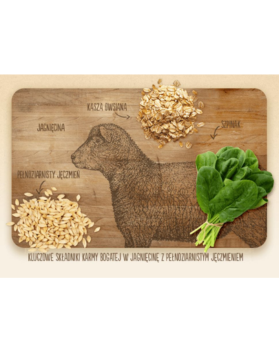 PURINA Beyond Simply 9 Miel 14 kg