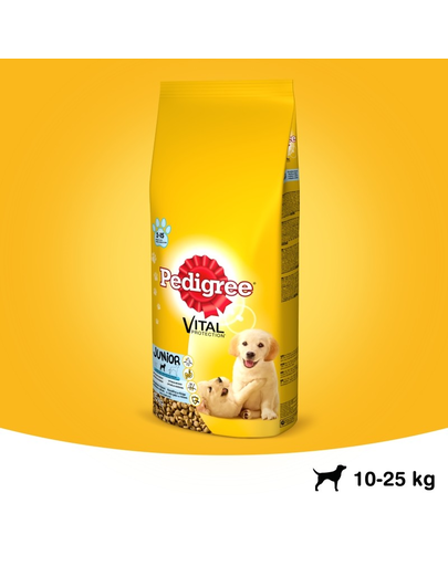 PEDIGREE Junior Hrana pentru catei de talie medie 8.4 kg