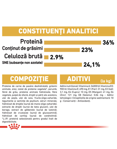 ROYAL CANIN Kitten Hrana pisoi rasa maine coon 4 kg