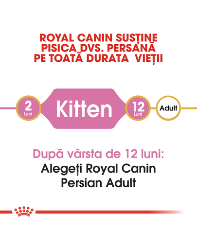 Royal Canin Persian Kitten hrana uscata pisica junior, 2 kg