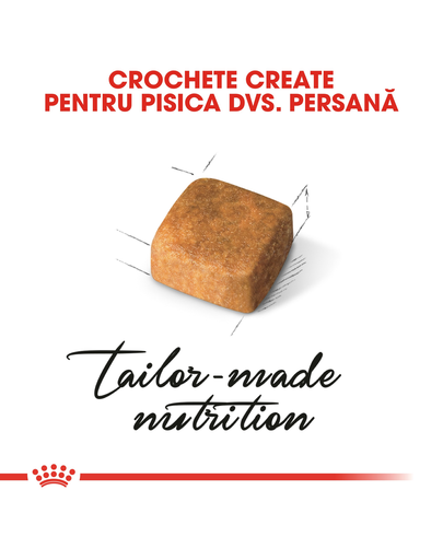 Royal Canin Persian Kitten hrana uscata pisica junior, 2 kg