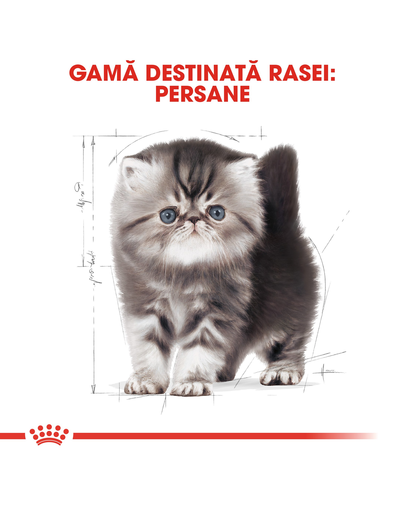 Royal Canin Persian Kitten hrana uscata pisica junior, 2 kg