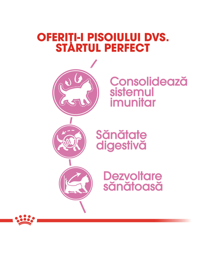 Royal Canin Kitten hrana uscata pisica junior 10 kg