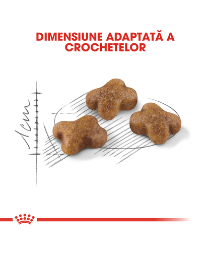 Royal Canin Kitten hrana uscata pisica junior, 4 kg