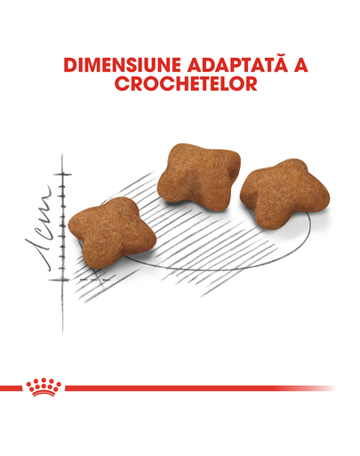 Royal Canin Kitten Sterilised hrana uscata pisica sterilizata junior, 2 kg