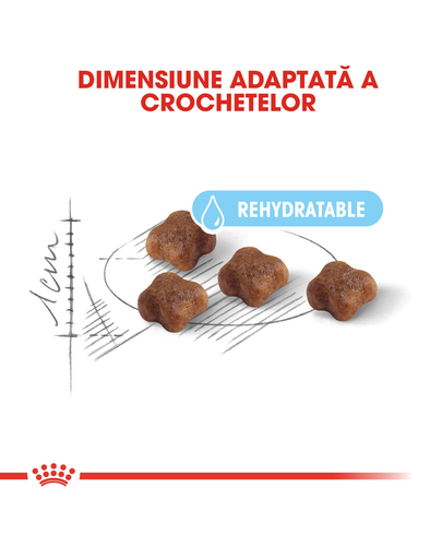 Royal Canin  Mother & BabyCat hrana uscata pisica mama si puii pana la 4 luni, 4 kg