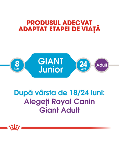Royal Canin Giant Junior hrana uscata caine junior etapa 2 de crestere , 15 kg