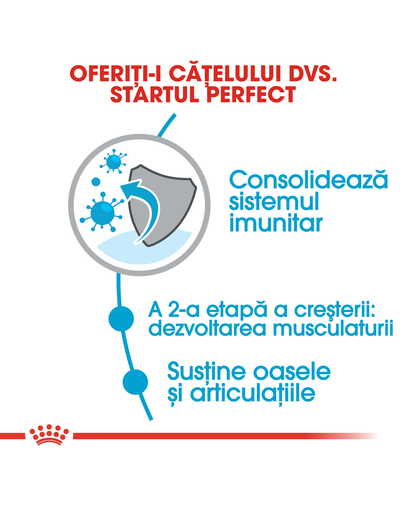 Royal Canin Giant Junior hrana uscata caine junior etapa 2 de crestere , 15 kg