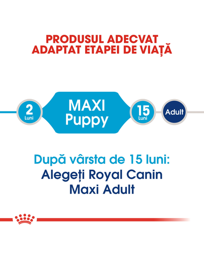 Royal Canin Maxi Puppy hrana uscata caine junior, 1 kg