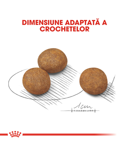 Royal Canin Maxi Puppy Hrană Uscată Câine 10 kg