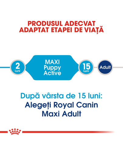 ROYAL CANIN Maxi Puppy Active hrana uscata pentru juniori de rase mari cu cerinte energetice mai mari 15 kg