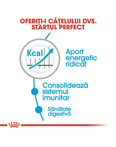 ROYAL CANIN Maxi Puppy Active hrana uscata pentru juniori de rase mari cu cerinte energetice mai mari 15 kg