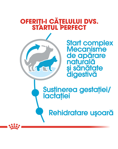 Royal Canin Maxi Starter Mother & Babydog gestatie/ lactatie pui hrana uscata caine, 4 kg