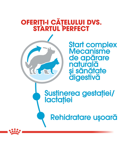 Royal Canin Maxi Starter Mother & Babydog gestatie/ lactatie pui hrana uscata caine 15 kg
