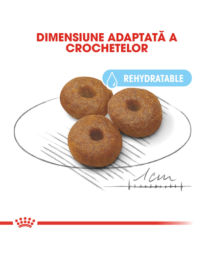 Royal Canin Maxi Starter Mother & Babydog gestatie/ lactatie pui hrana uscata caine 15 kg