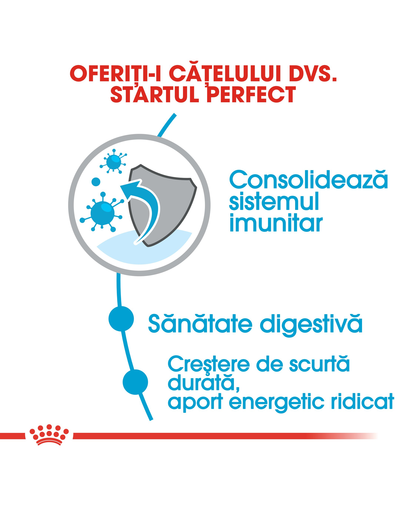 Royal Canin Medium Puppy Hrană Uscată Câine 10 kg