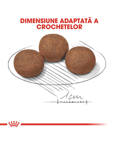 Royal Canin Medium Puppy Hrană Uscată Câine 15 + 3 kg