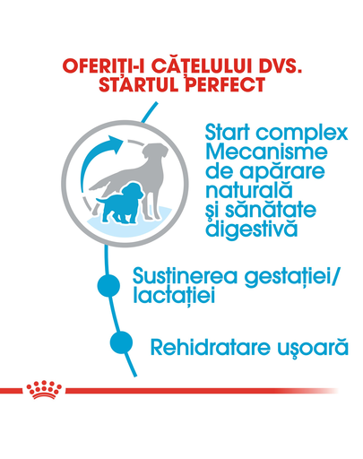 Royal Canin Medium Starter Mother & Babydog Hrană Uscată Câine 1 kg