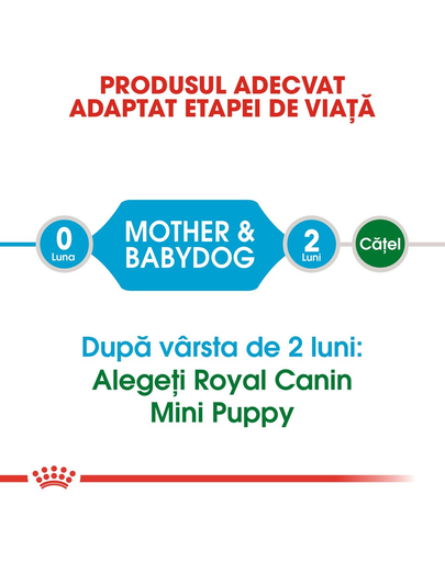 Royal Canin Mini Starter Mother & Babydog gestatie/ lactatie pui hrana uscata caine, 3 kg