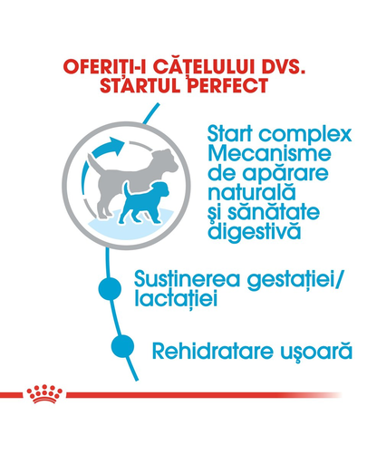 Royal Canin Mini Starter Mother & Babydog gestatie/ lactatie pui hrana uscata caine, 3 kg