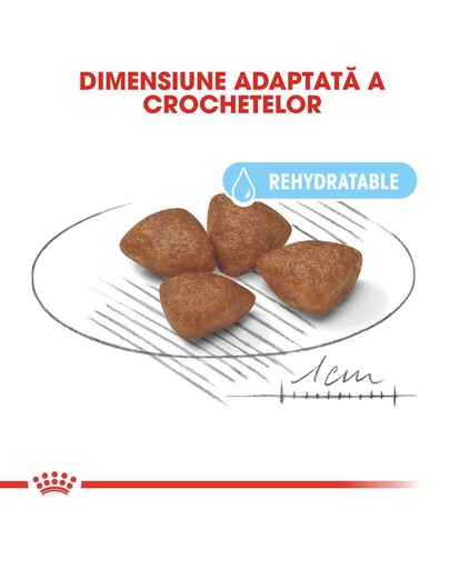 Royal Canin Mini Starter Mother & Babydog gestatie/ lactatie pui hrana uscata caine, 3 kg