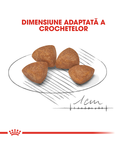 Royal Canin X-Small Puppy hrana uscata caine junior, 500 g