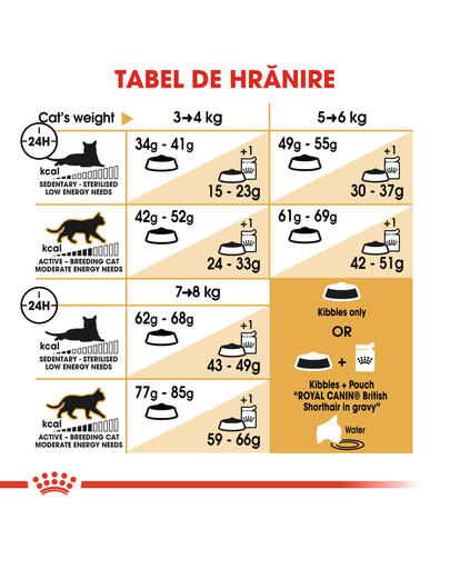 Royal Canin British Shorthair Adult hrana uscata pisica, 2 kg