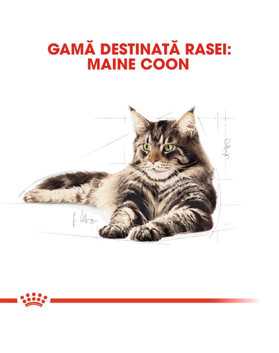 Royal Canin Maine Coon Adult hrana uscata pisica, 4 kg