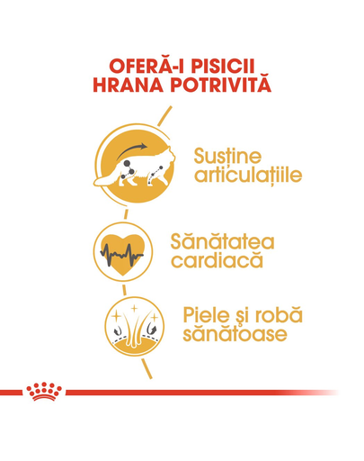 Royal Canin Maine Coon Hrană Uscată Pisică 400 g