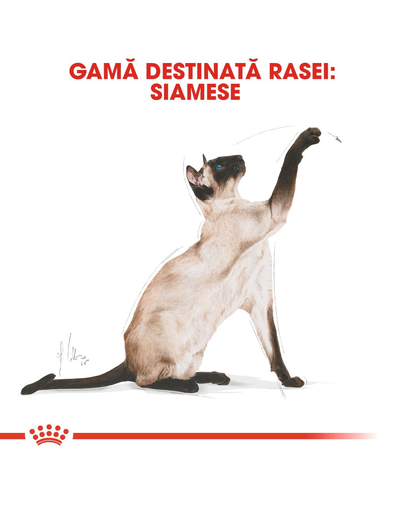 Royal Canin Siamese Hrana uscata pisici adulte Siamese, cu pasare 400 g