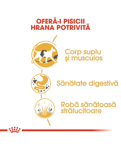 Royal Canin Siamese Hrana uscata pisici adulte Siamese, cu pasare 400 g