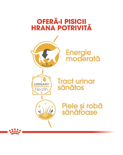 Royal Canin British Shorthair Hrană Umedă Pisică 85 g