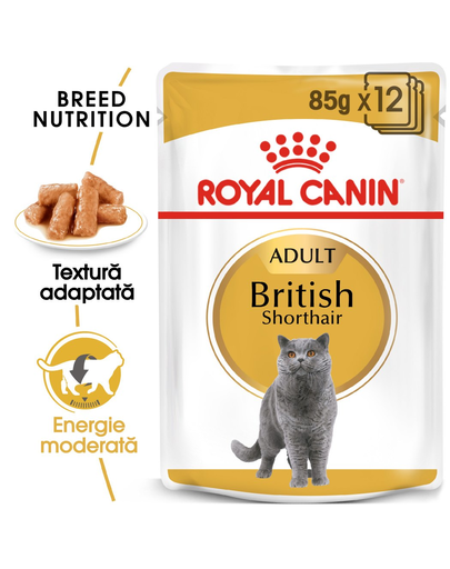 Royal Canin British Shorthair Hrană Umedă Pisică 85 g