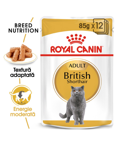 Royal Canin British Shorthair Hrană Umedă Pisică 85 g 12x85 g