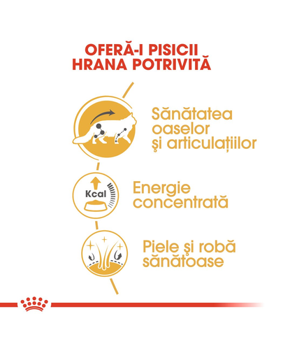 Royal Canin Maine Coon Hrană Umedă Pisică 85 g