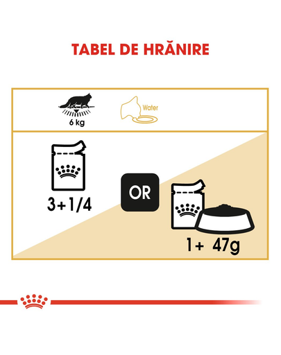 Royal Canin Maine Coon Hrană Umedă Pisică 85 g