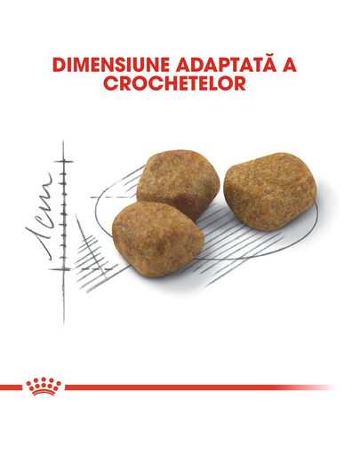 Royal Canin Fit32 Adult hrana uscata pisica cu activitate fizica moderata, 4 kg