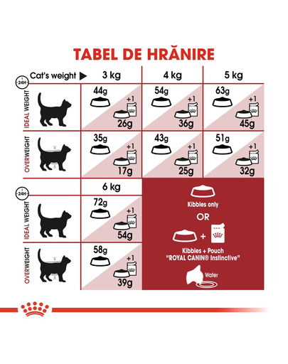 Royal Canin Fit32 Adult hrana uscata pisica cu activitate fizica moderata, 4 kg