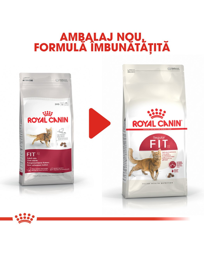 Royal Canin Fit32 Adult hrana uscata pisica cu activitate fizica moderata, 4 kg