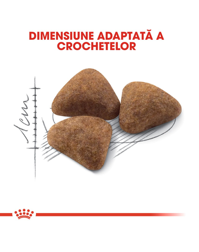 Royal Canin Indoor Adult hrana uscata pisica de interior, 2 kg