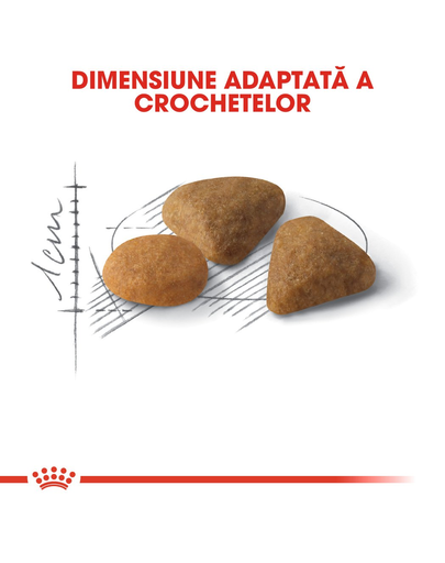 Royal Canin Exigent Savour Adult hrana uscata pisica pentru apetit capricios, 10 kg