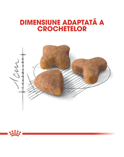 Royal Canin Sensible Adult hrana uscata pisica pentru digestie optima, 400 g