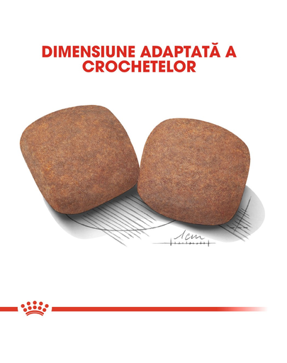 Royal Canin Giant Adult hrana uscata pentru caini adulti de talie foarte mare 15 kg