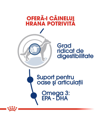 Royal Canin Maxi Adult Hrană Uscată Câine 15 kg + 3 kg
