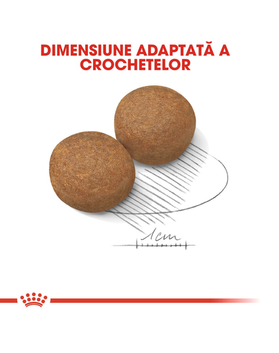 Royal Canin Maxi Adult hrana uscata caine, 4 kg