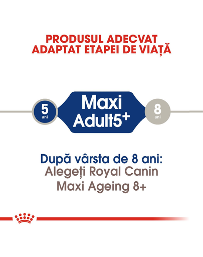 Royal Canin Maxi 5+ Adult hrana uscata caine intre 5 si 8 ani, 15 kg