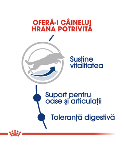 Royal Canin Maxi 5+ Adult hrana uscata caine intre 5 si 8 ani, 15 kg